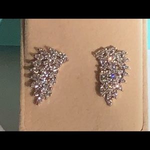 Beautiful earrings